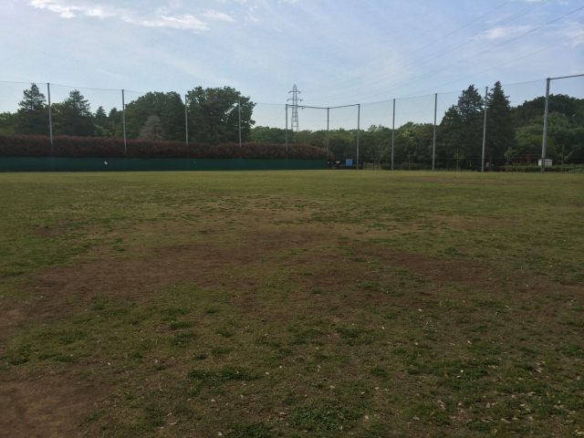 小金井公園の多目的広場