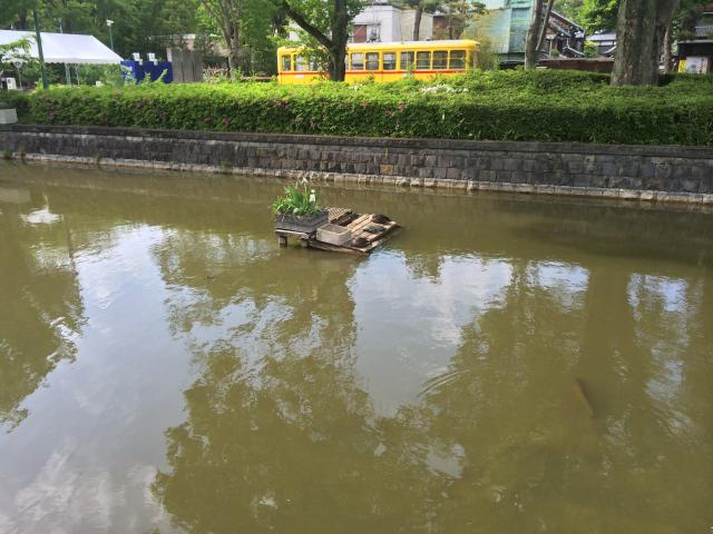 小金井公園の堀