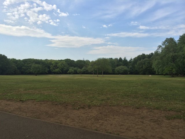 小金井公園のいこいの広場