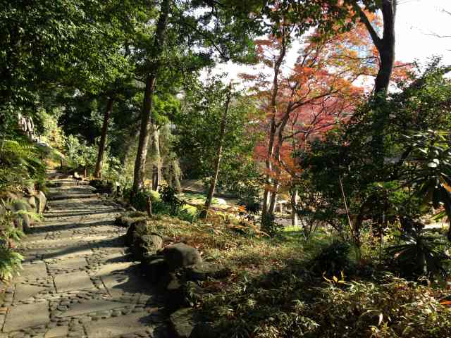 登山道