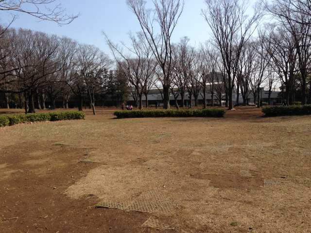 駒沢オリンピック公園の自由広場