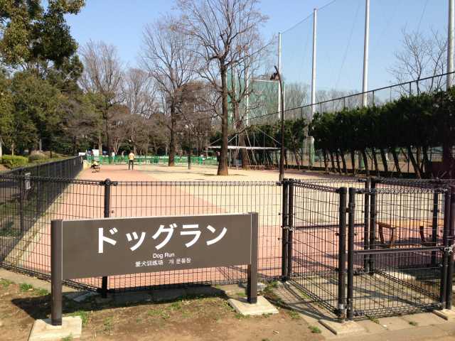 駒沢オリンピック公園のドッグラン