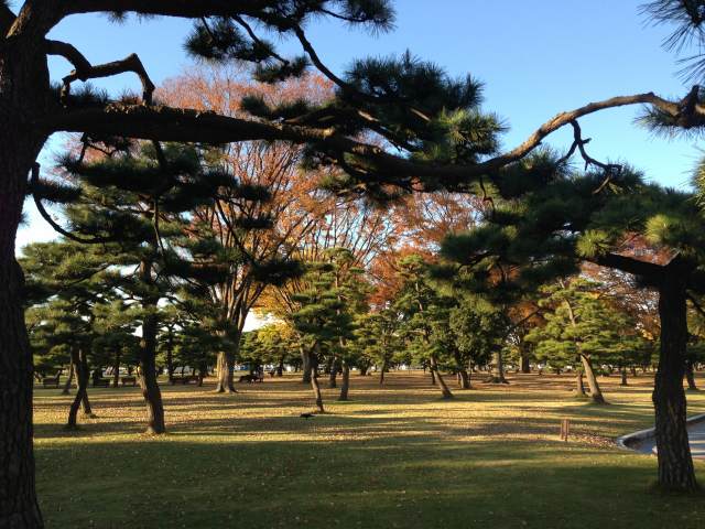芝生広場(東側)