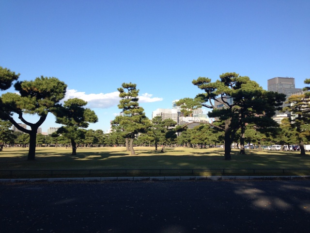 芝生広場(西側)
