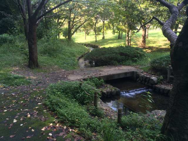 草花公園の南の園路