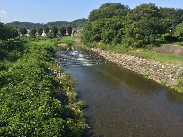 草花公園に沿って流れる平井川