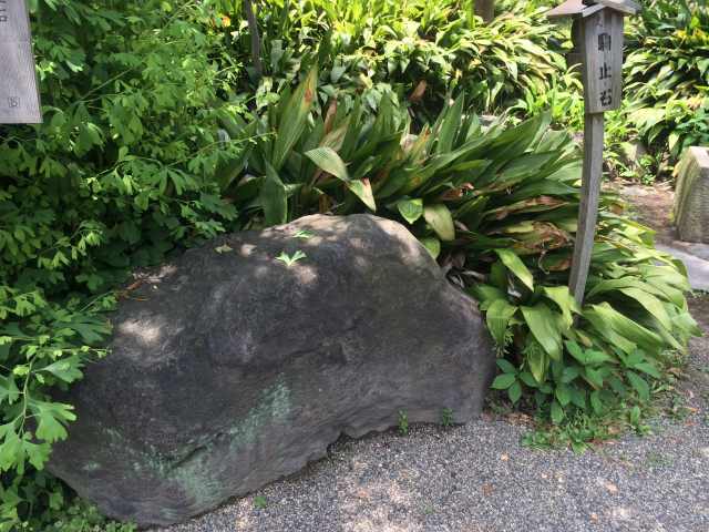 旧安田庭園の駒止石