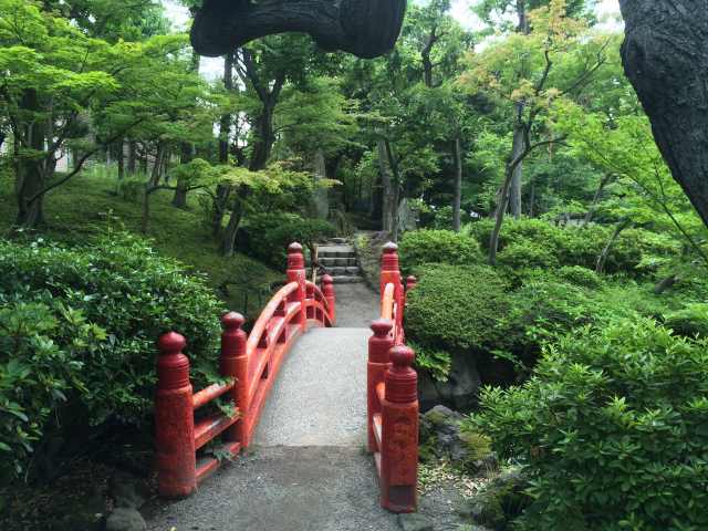 旧安田庭園の南の園路