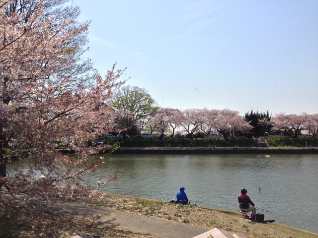 水元公園の小合溜～釣りを楽しむ人々