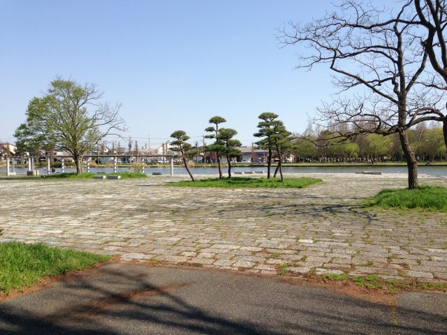水元公園の記念広場