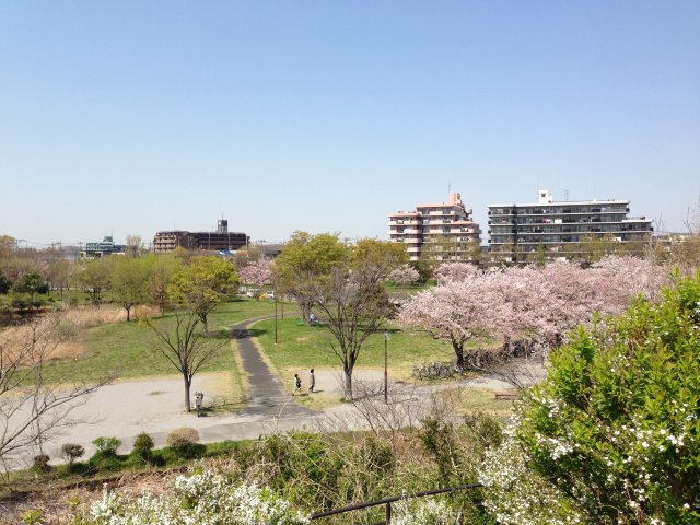 水元公園・東地区～小山から眺めた全景