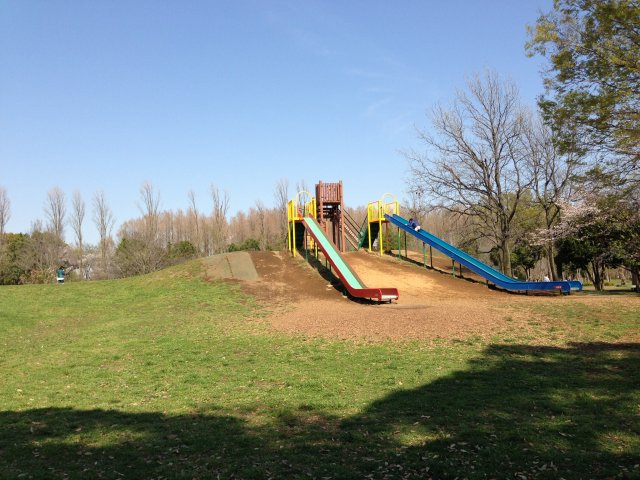 水元公園の冒険広場