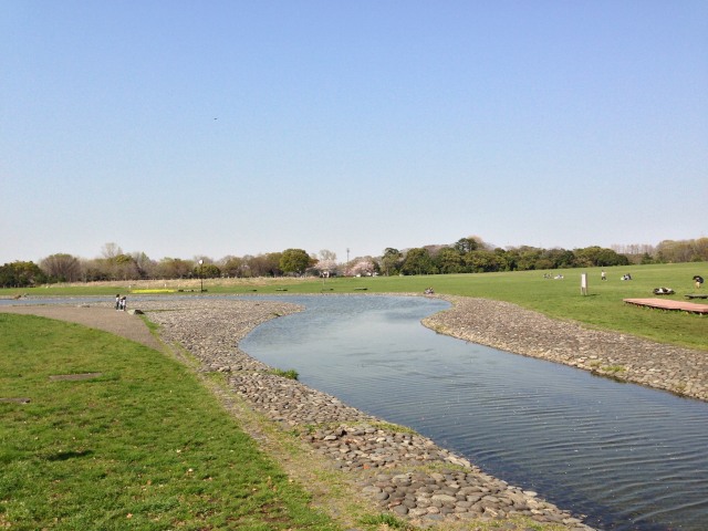 水元公園のせせらぎ広場～南から北を見た眺め