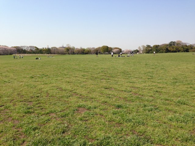 水元公園の中央広場