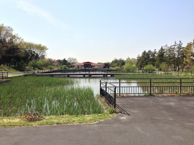 水元公園の旧水産試験場