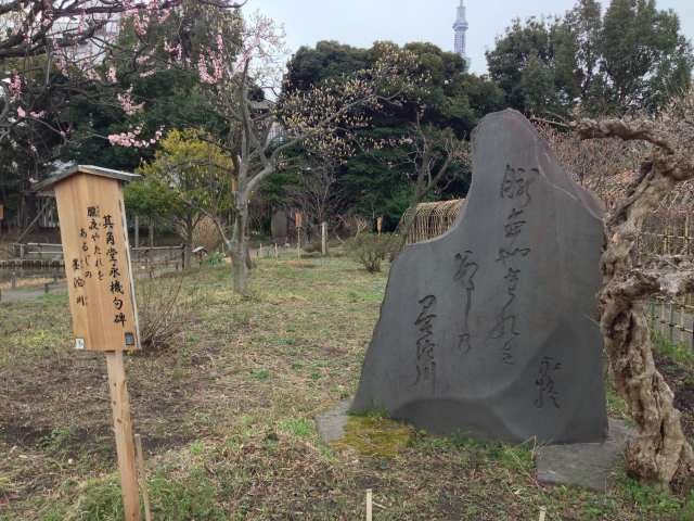 向島百花園～其角堂永機の句碑