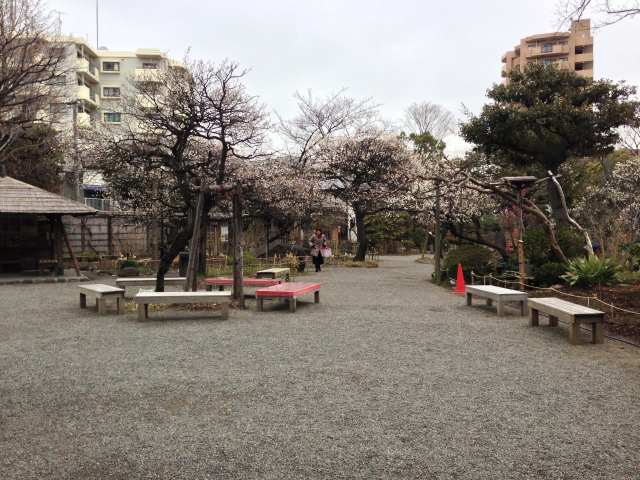 向島百花園の庭門前広場