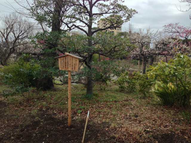 向島百花園の秋の七草