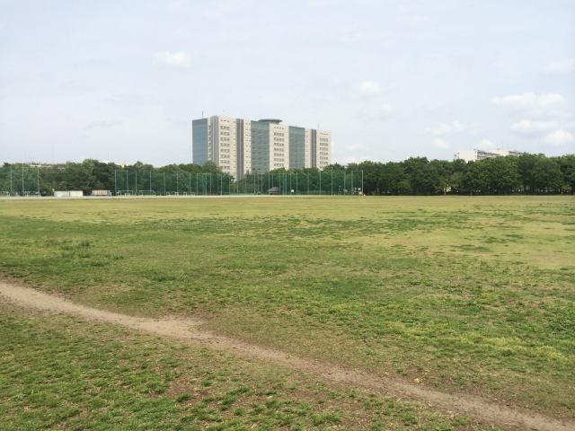 武蔵中央公園の原っぱ広場