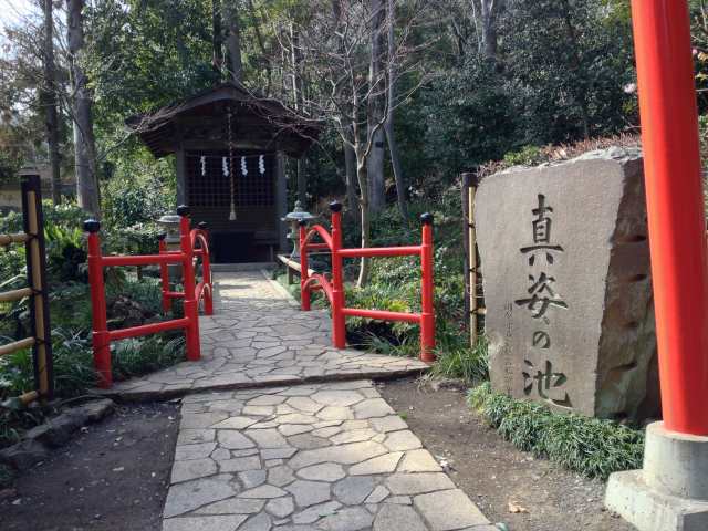 真姿の池～社を含めた遠景