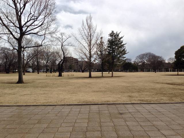 武蔵国分寺公園の円形広場