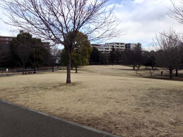 武蔵国分寺公園・西元地区入口付近