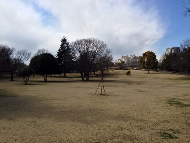 武蔵国分寺公園のこもれび広場