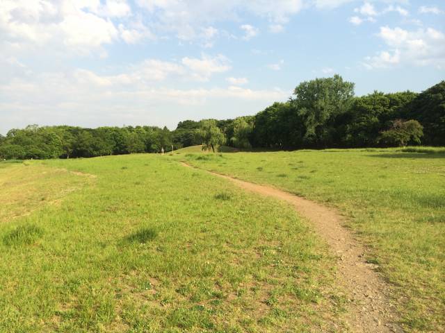 武蔵野公園の原っぱ