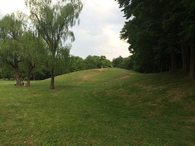 武蔵野公園のくじら山~外観