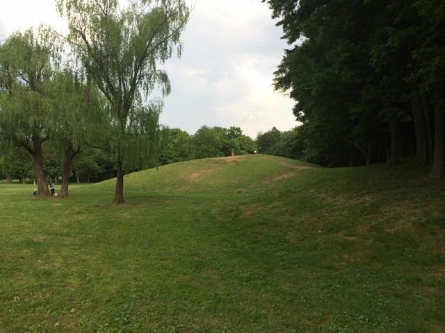 武蔵野公園のくじら山～外観