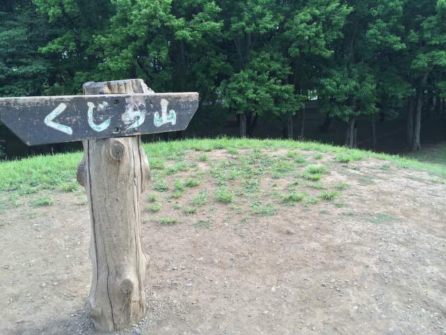 武蔵野公園のくじら山~山頂の様子