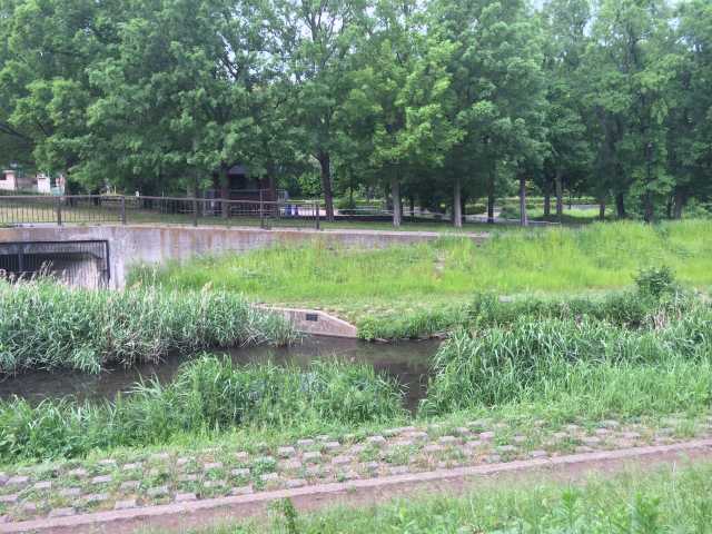 武蔵野公園から見た野川