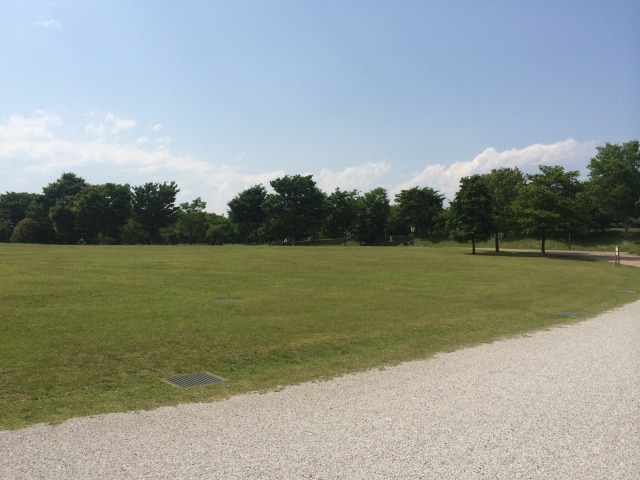 武蔵野の森公園の大芝生広場~東から見たところ