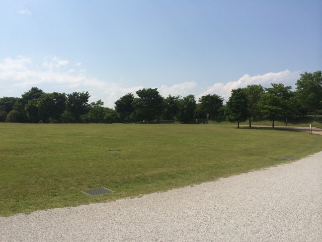 武蔵野の森公園の大芝生広場～東から見たところ