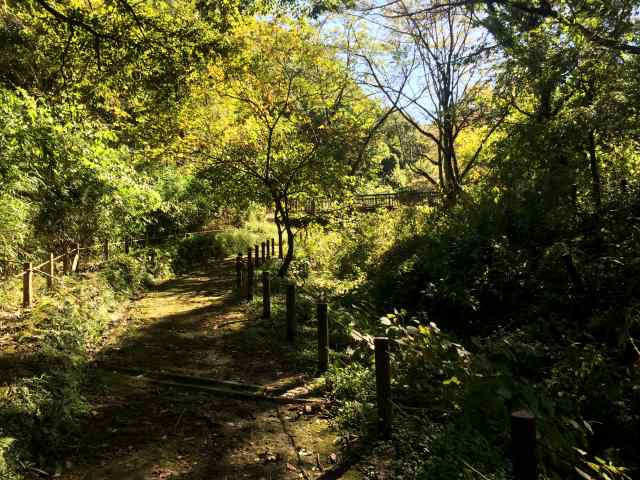 都立長沼公園の西の園路