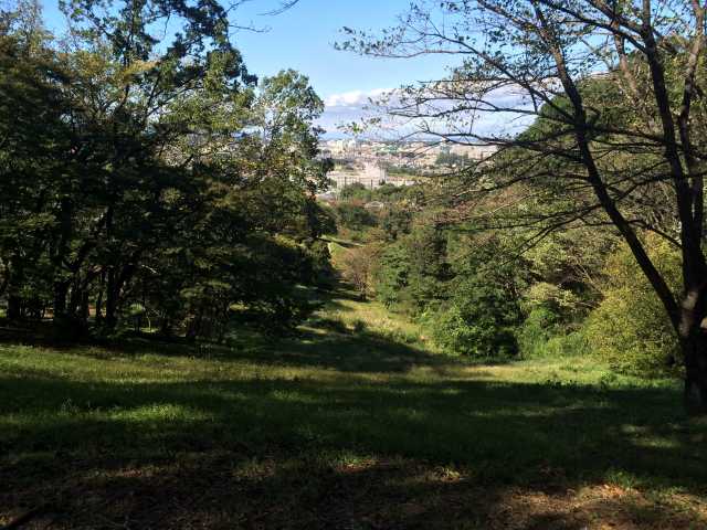 都立長沼公園の草地広場