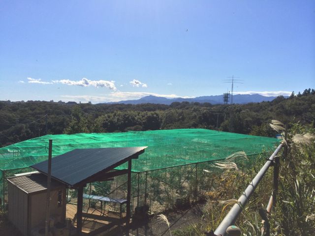 都立長沼公園の展望園地からの眺め