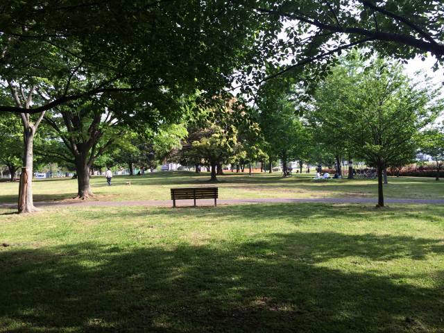 中川公園の四季の森