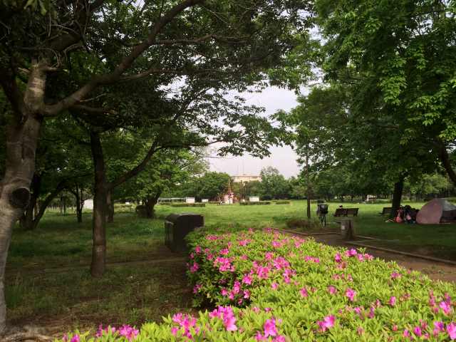 中川公園のちびっこ広場