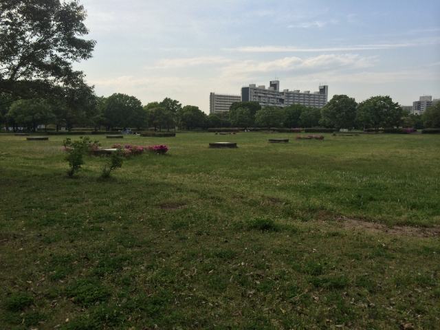 中川公園の自由広場