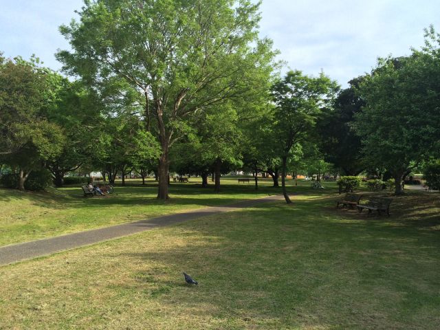 中川公園の果樹の森