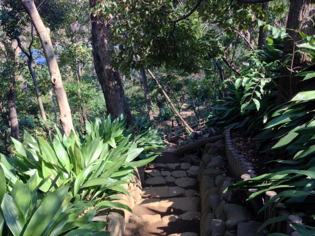 名主の滝公園の西の園路