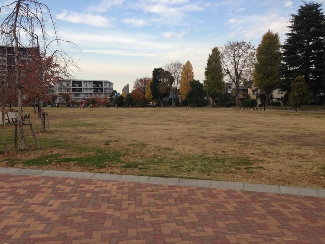 大きな芝生広場