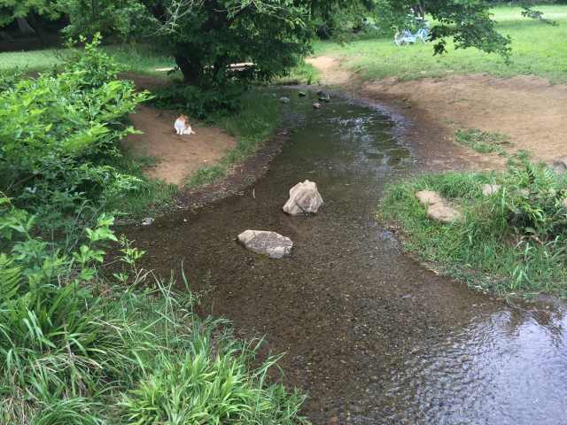 湧き水広場