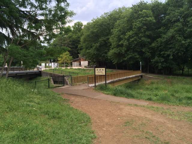 野川公園の北地区～野川沿い