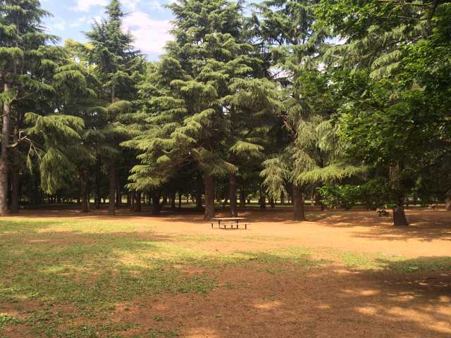 野川公園のバーベキュー広場