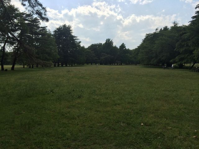 野川公園の自由広場