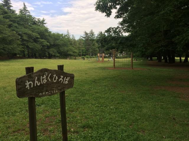 野川公園のわんぱく広場