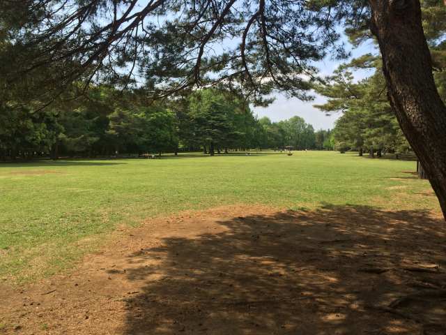 野川公園の大芝生～南から見たところ