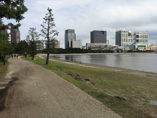 お台場海浜公園の北の砂浜からフジテレビの社屋を眺めたところ